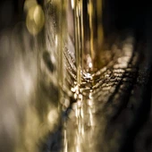 Puhdasta tungöljyä